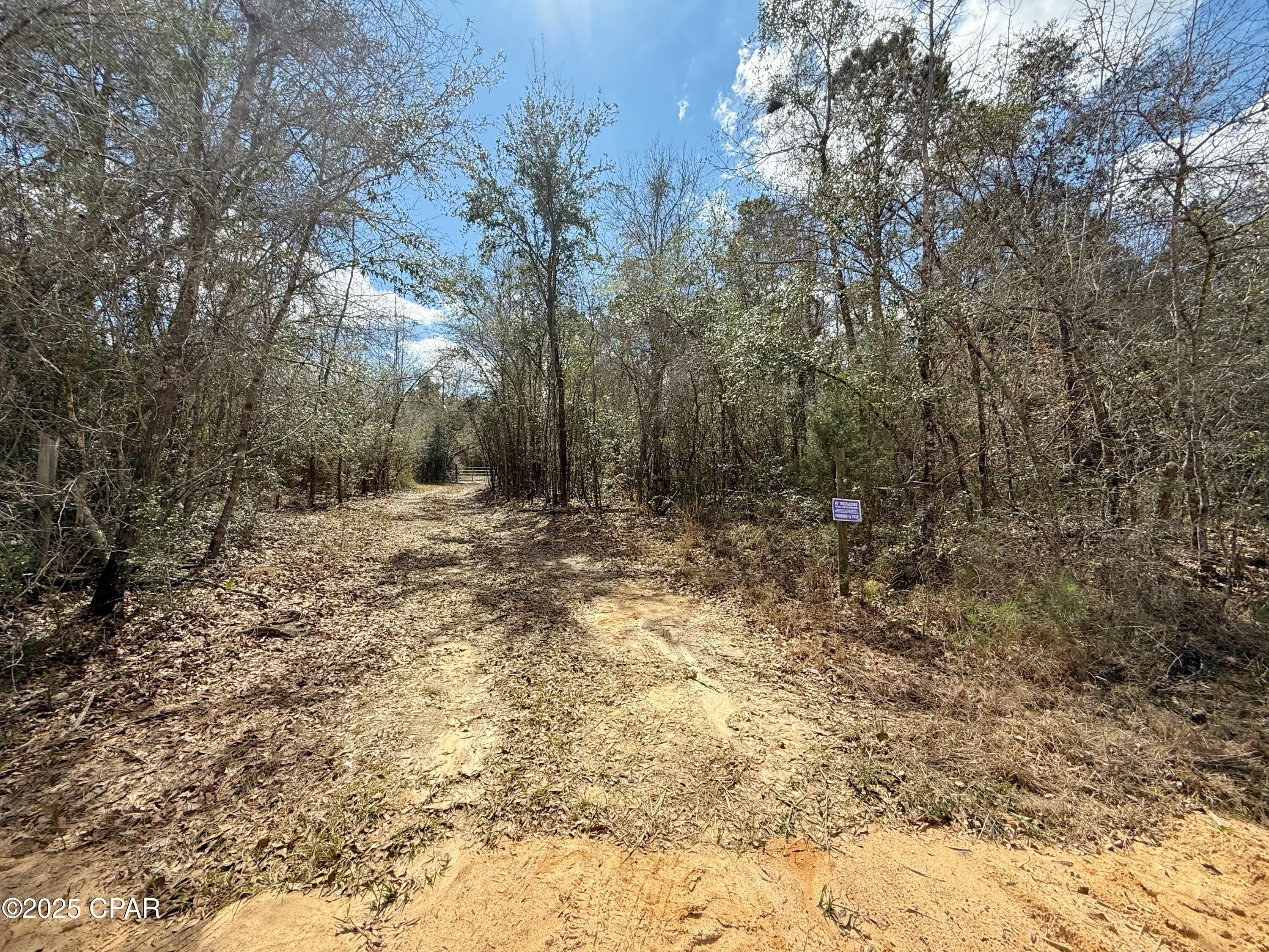 0 Lovewood Road Marianna, FL 32446 - Photo 3 of 12