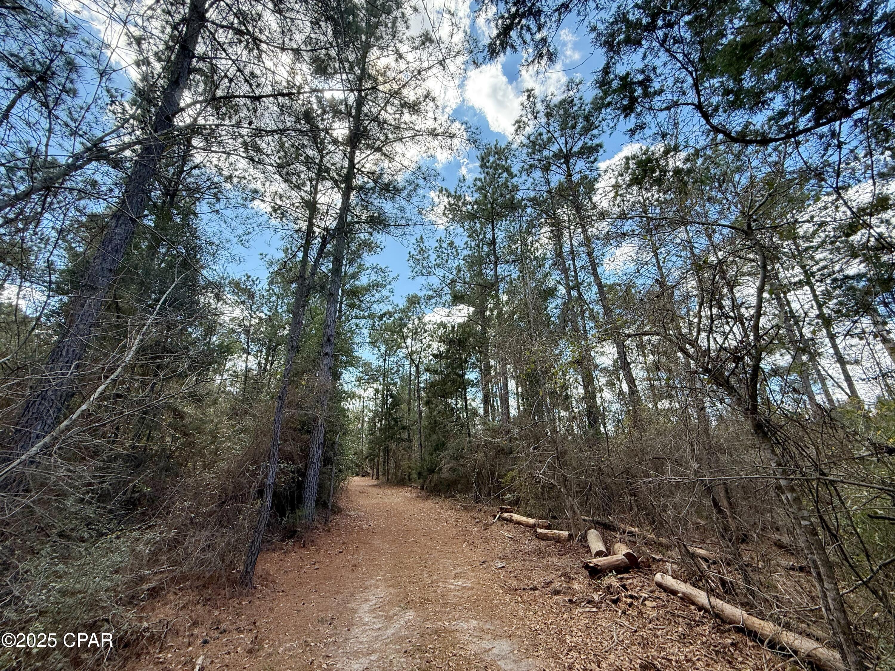 0 Lovewood Road Marianna, FL 32446 - Photo 5 of 12