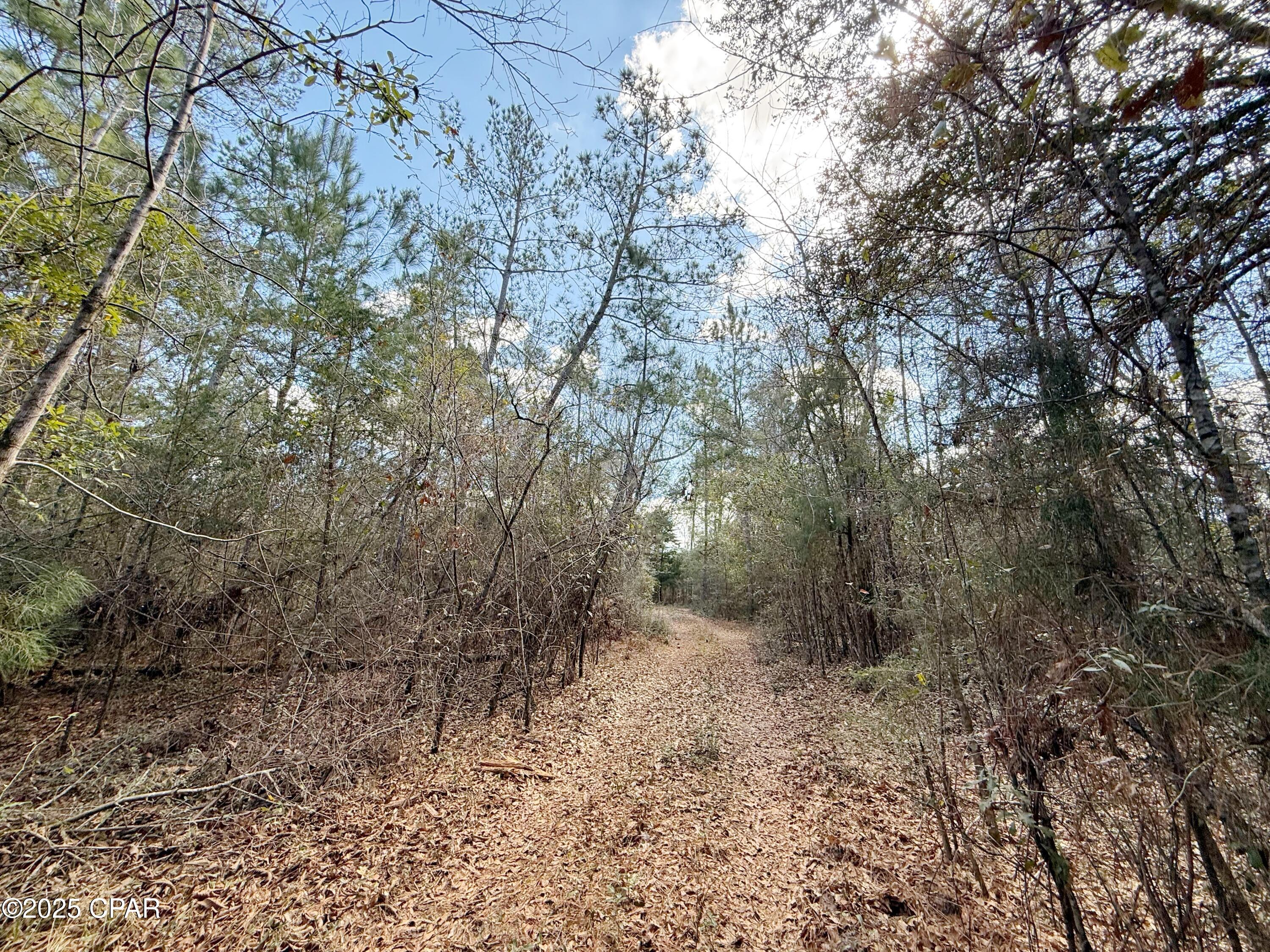 0 Lovewood Road Marianna, FL 32446 - Photo 9 of 12