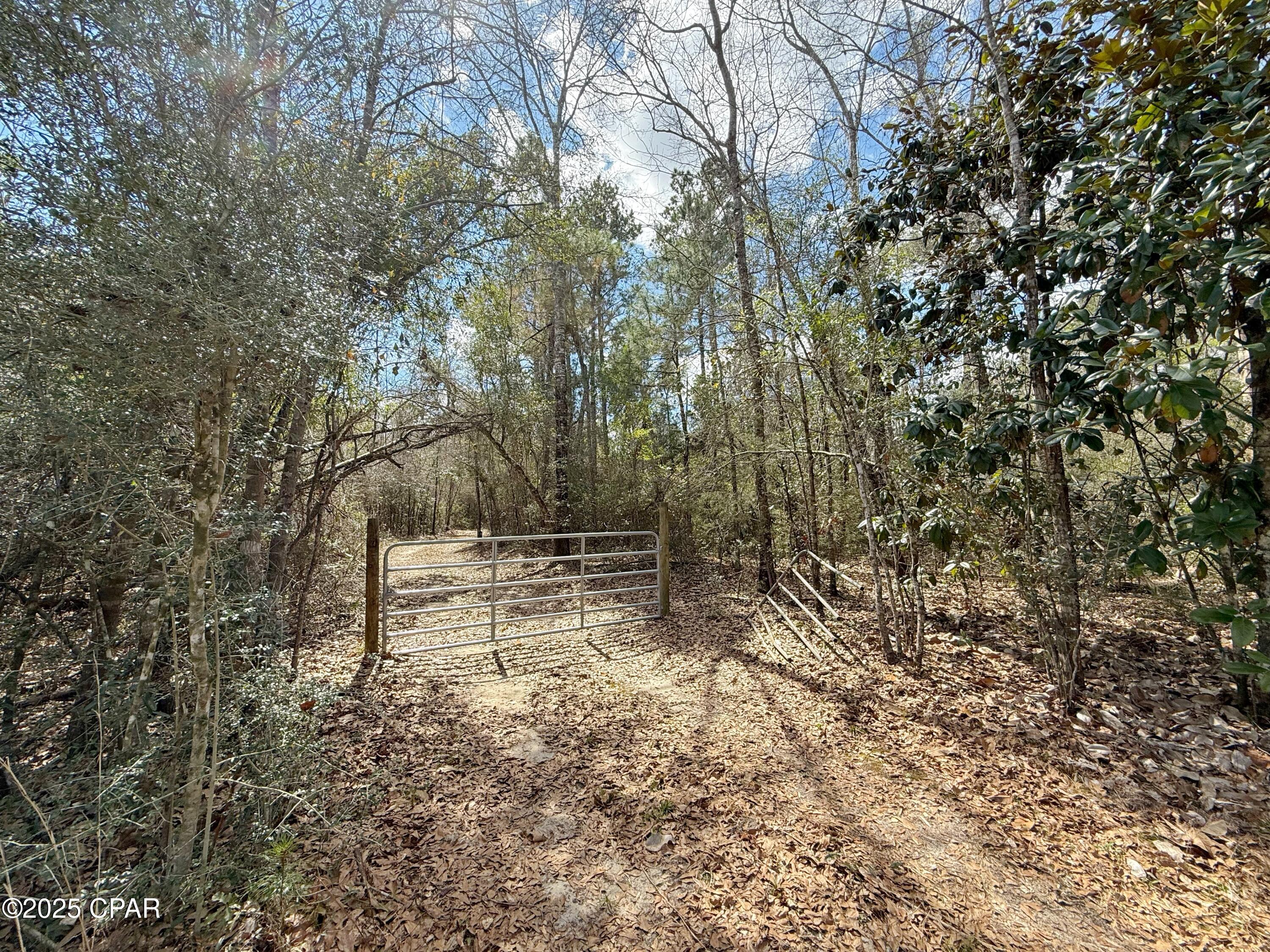 0 Lovewood Road Marianna, FL 32446 - Photo 10 of 12