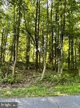 a view of a yard