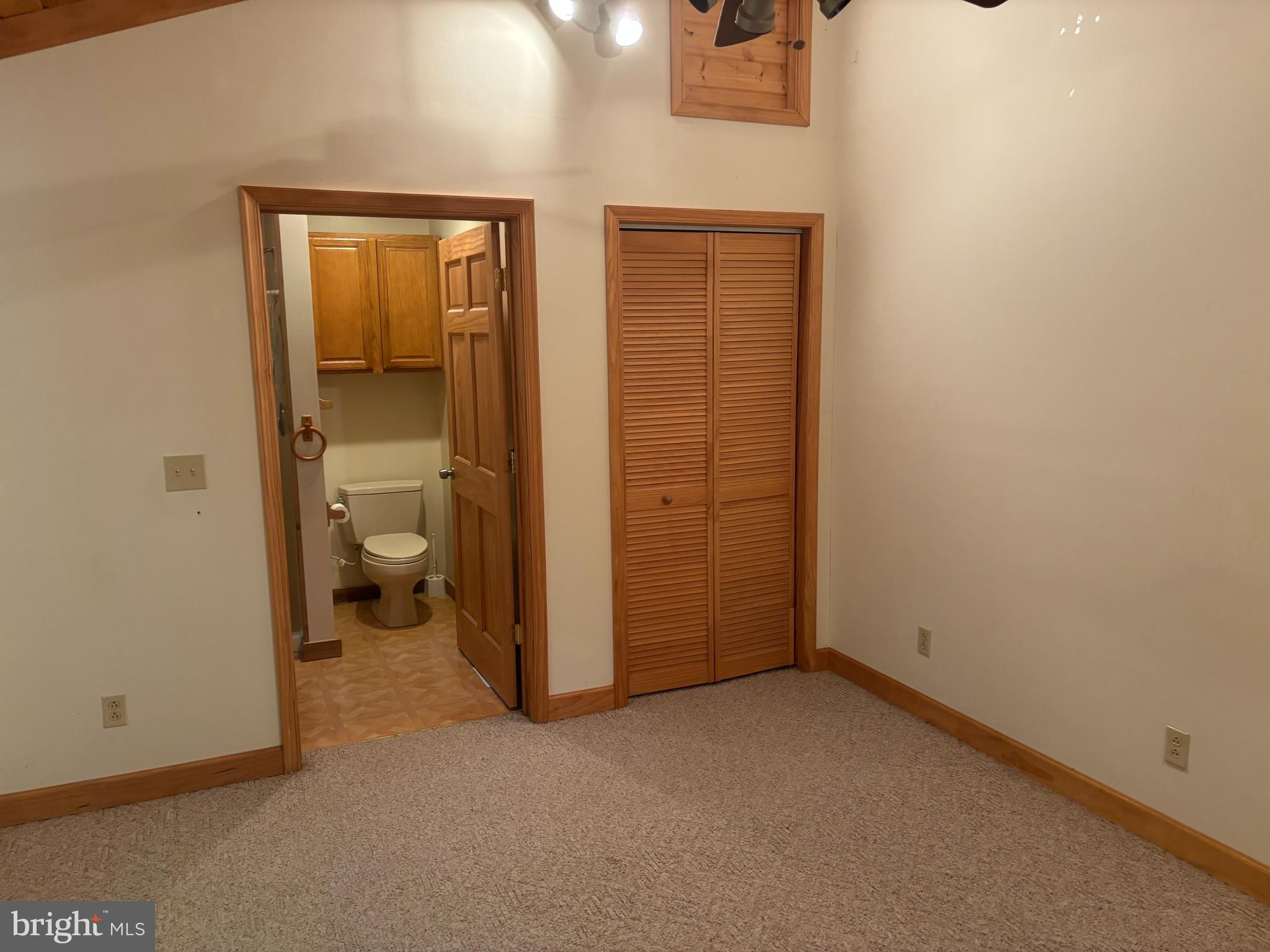 251 Riffey Mountain Lane Mathias, WV 26812 - Photo 13 of 33 Primary bedroom2 with private bathroom