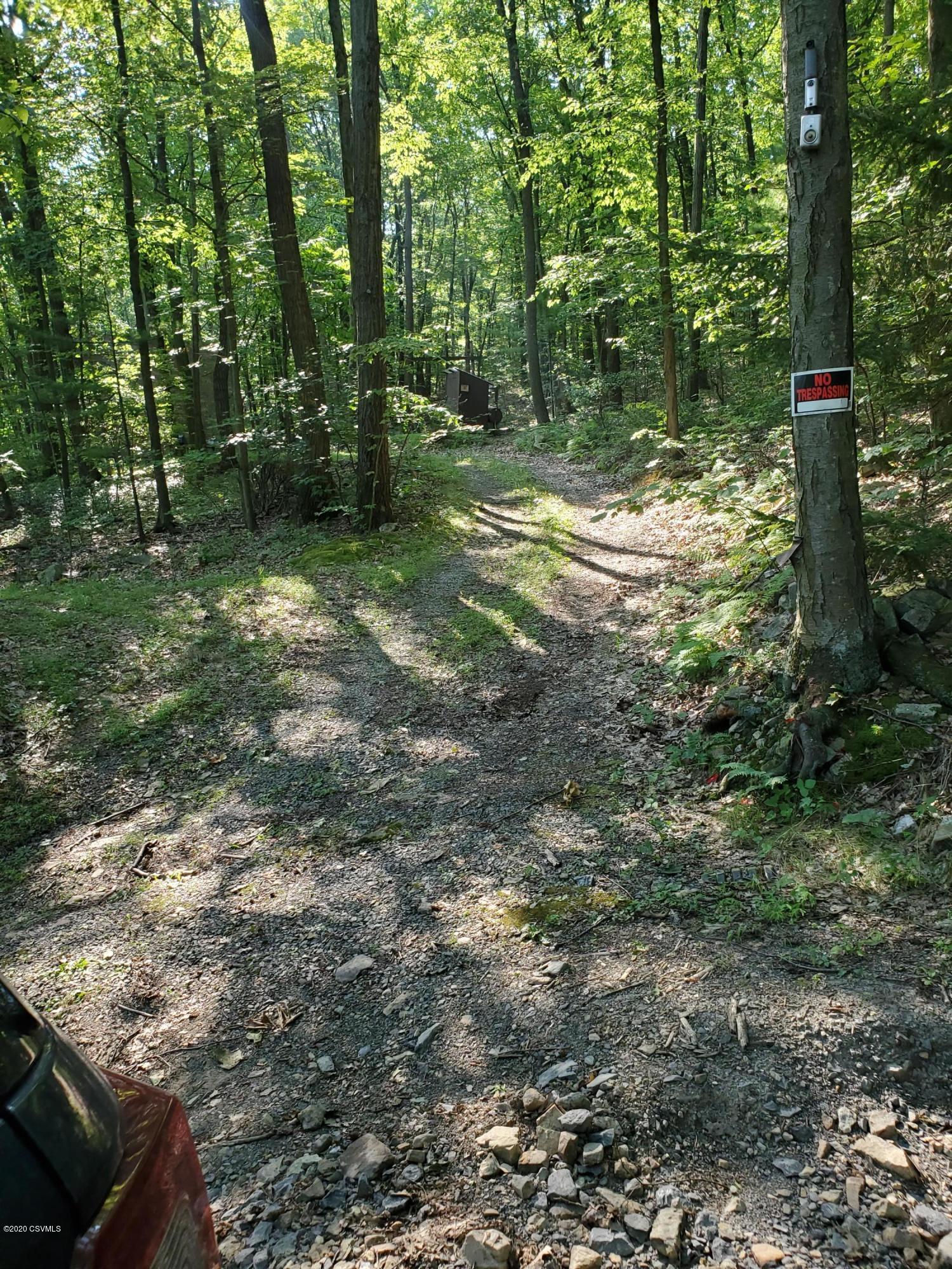 1705 Mountain Road Danville, PA 17821 - Photo 7 of 12 Gallery Image 7