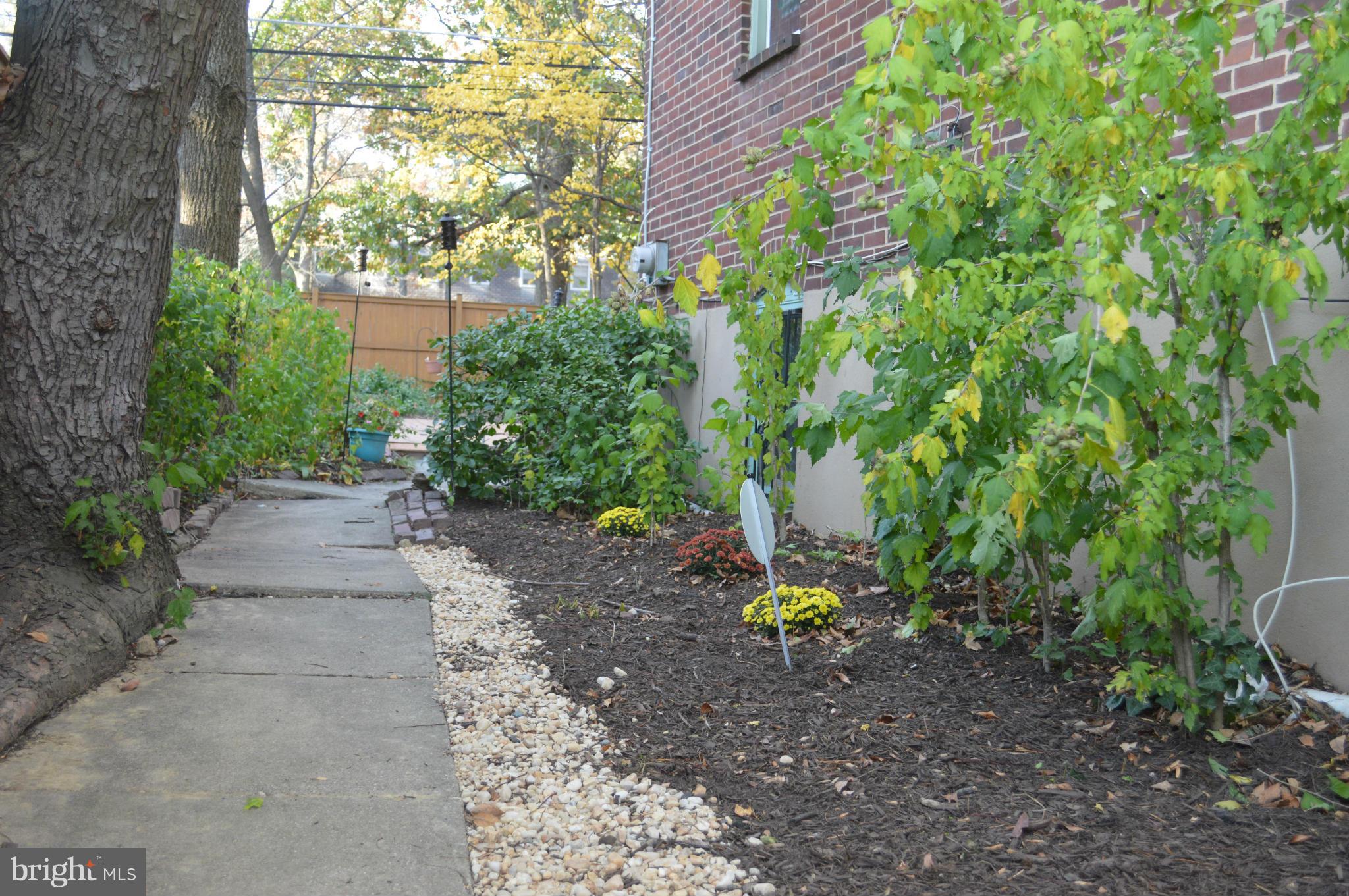 746 Charing Cross Road Baltimore, MD 21229 - Photo 27 of 30 a view of a pathway both side of yard