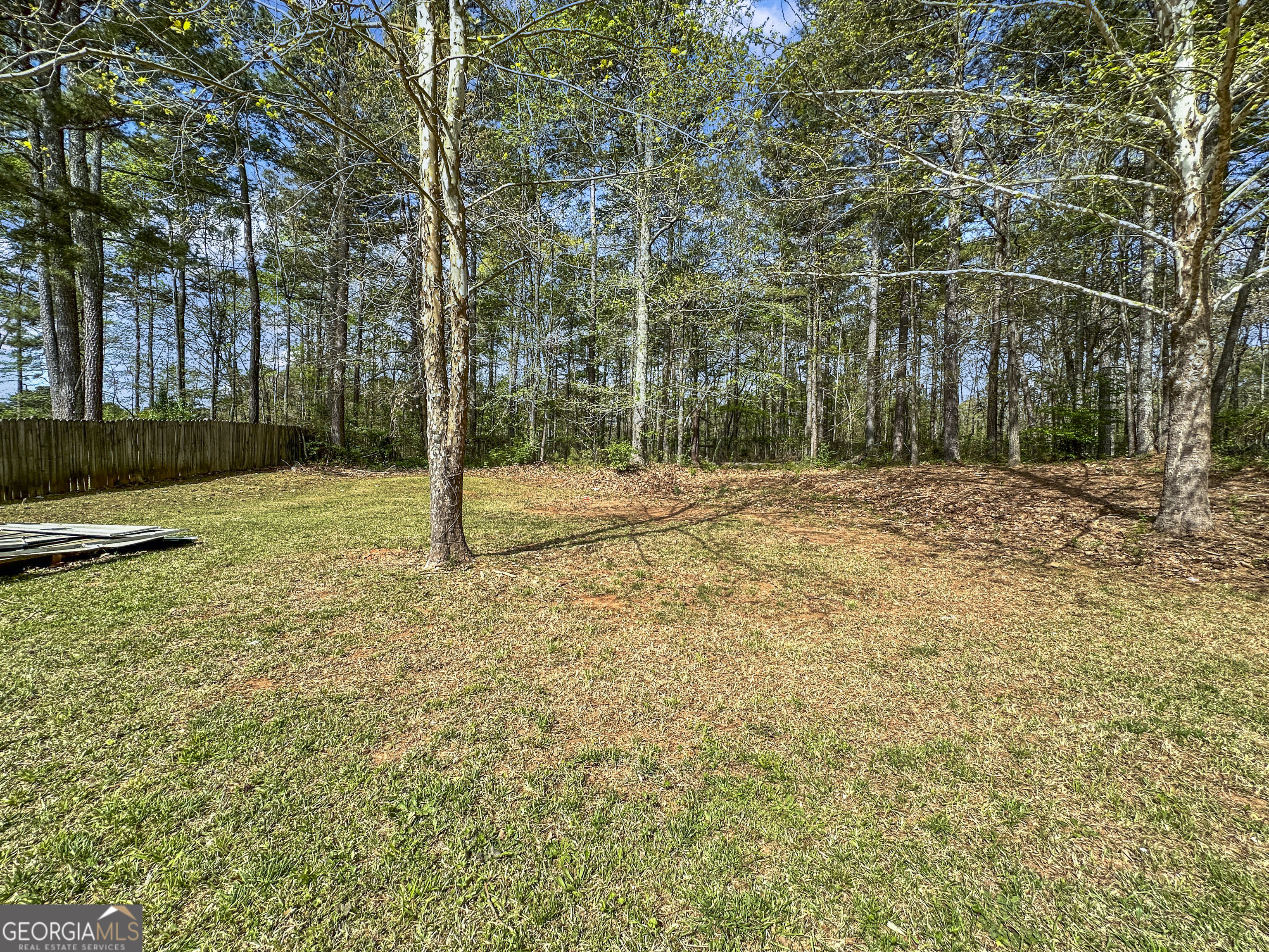 11647 Matthews Trail Hampton, GA 30228 - Photo 17 of 18 a backyard of a house with lots of green space