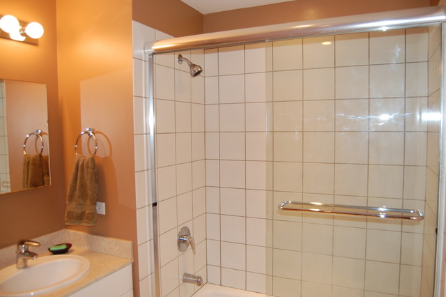 8 East Randolph Street, Unit 1803 Chicago, IL 60601 - Photo 13 of 16 a bathroom with a sink and a shower