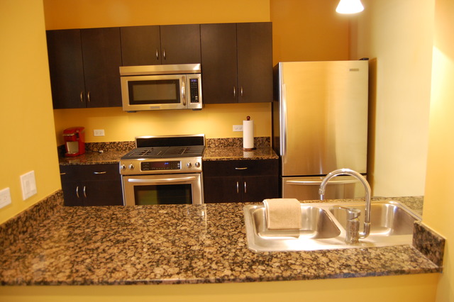 8 East Randolph Street, Unit 1803 Chicago, IL 60601 - Photo 2 of 16 a kitchen with a refrigerator sink and stove