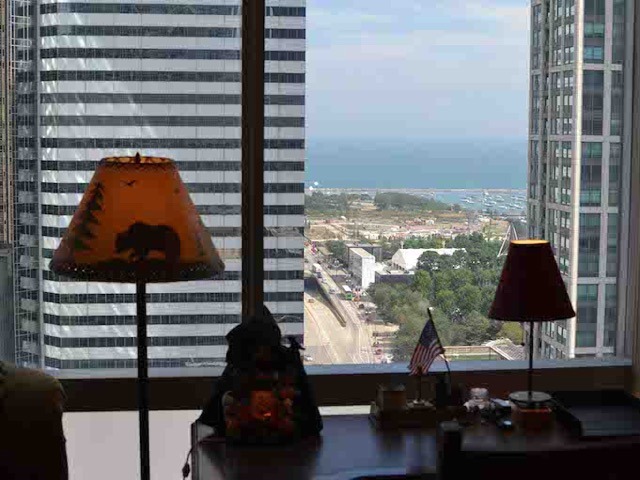 8 East Randolph Street, Unit 1803 Chicago, IL 60601 - Photo 5 of 16 a view of a room with a floor to ceiling window and carpet