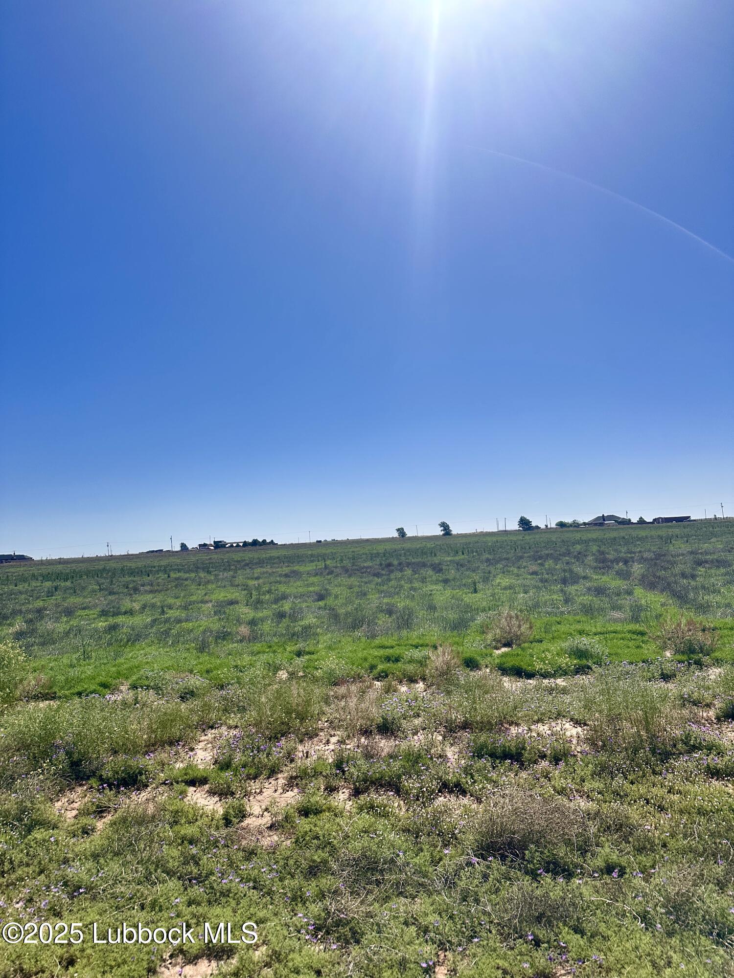 0 Private Road Levelland, TX 79336 - Photo 2 of 2 McMillan Farm pic 2