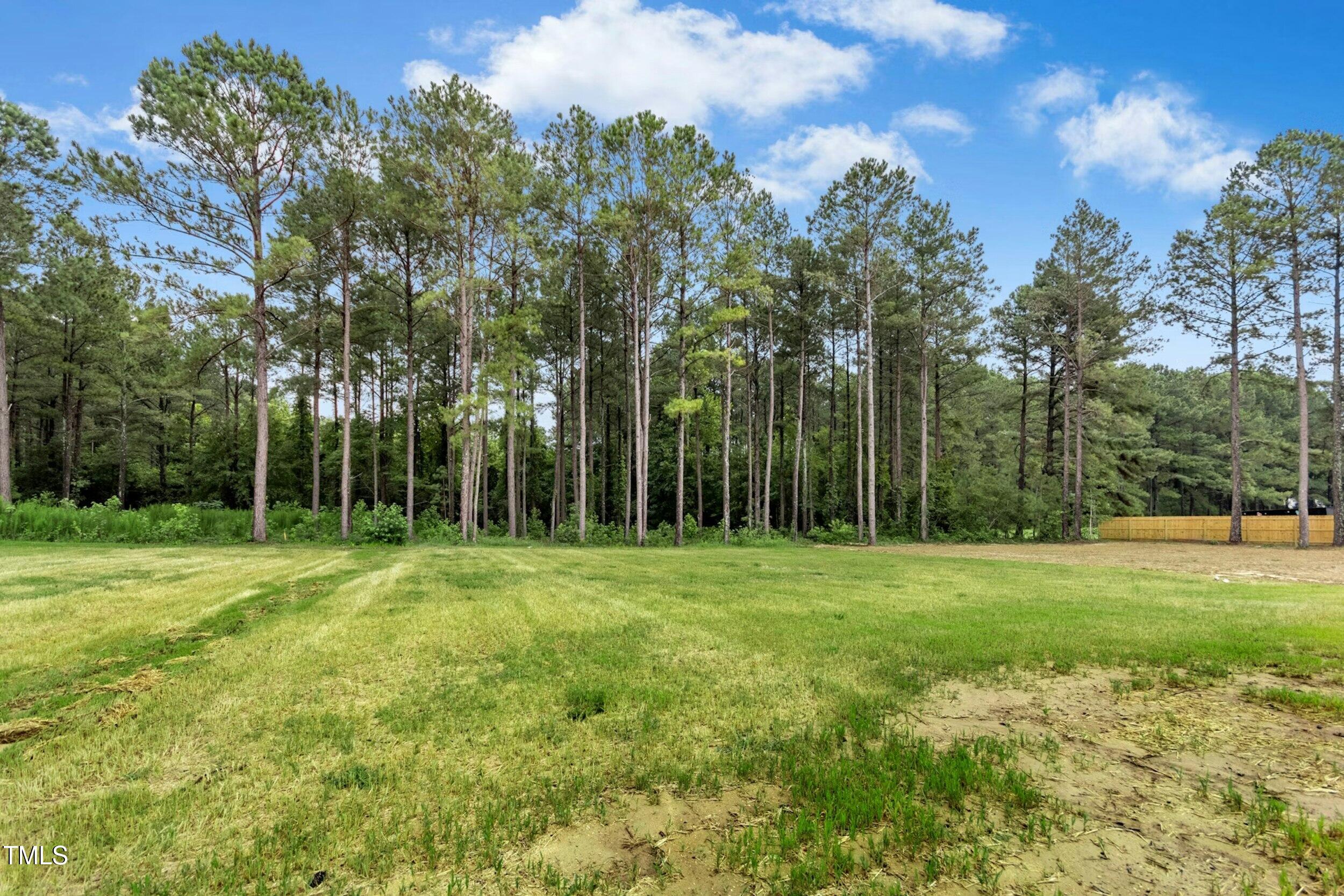 788 Shadetree Road Benson, NC 27504 - Photo 23 of 31 027-484449-IMG_0406