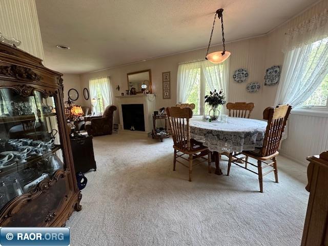 4482 Stuntz Road Hibbing, MN 55746 - Photo 14 of 44
