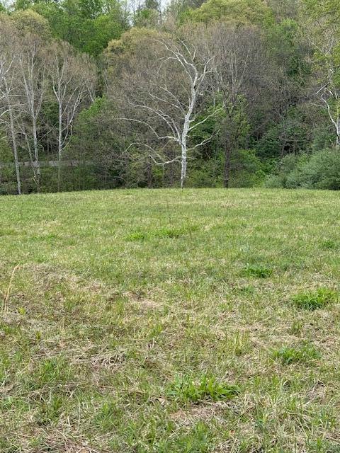 0 Jeffers Road Athens, OH 45701 - Photo 10 of 10 IMG_5643