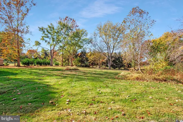 a view of green field