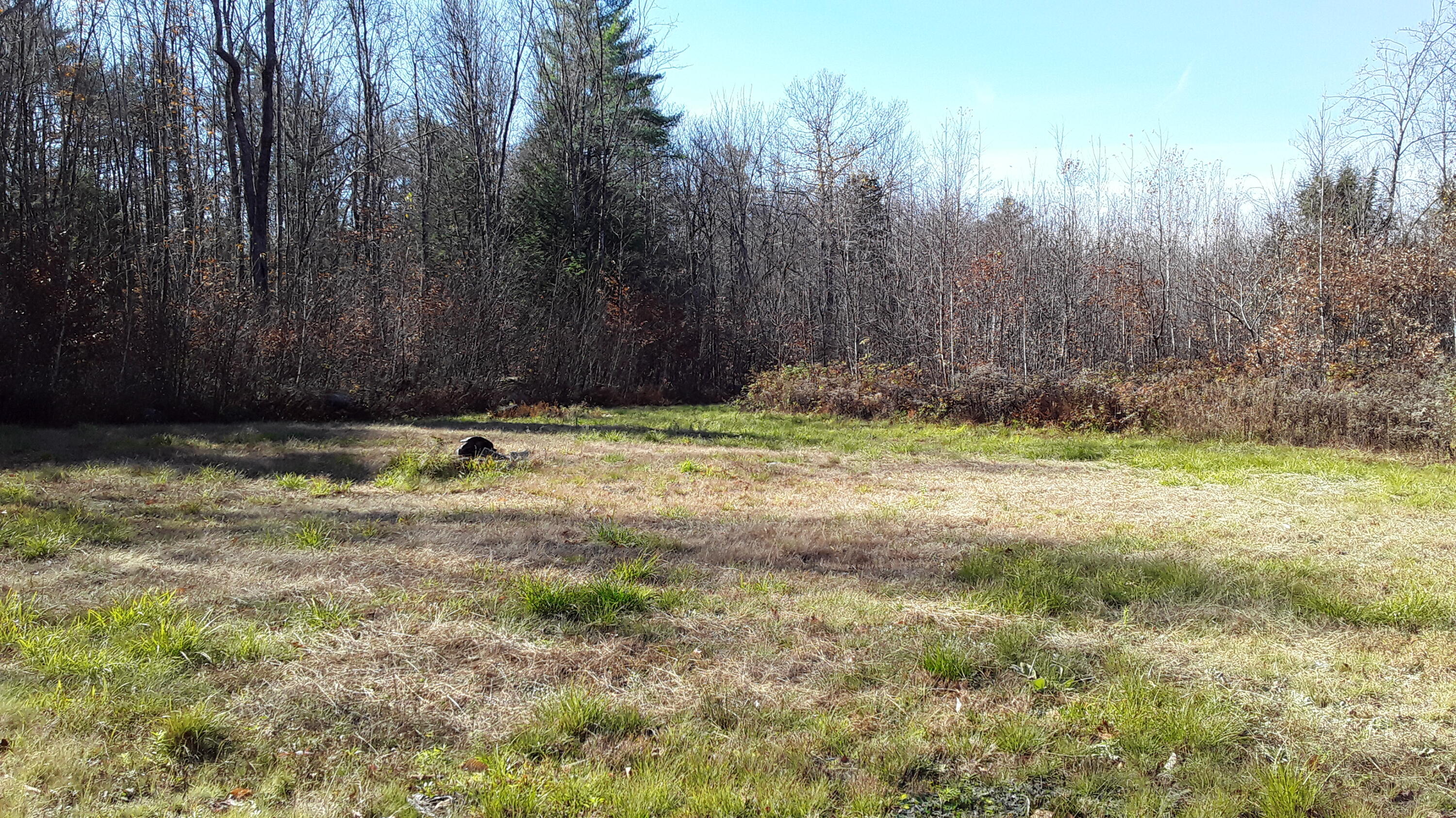 239 Fish Street Fryeburg, ME 04037 - Photo 3 of 10 20221030_122418