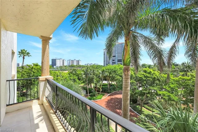 a view of a palm tree from balcony