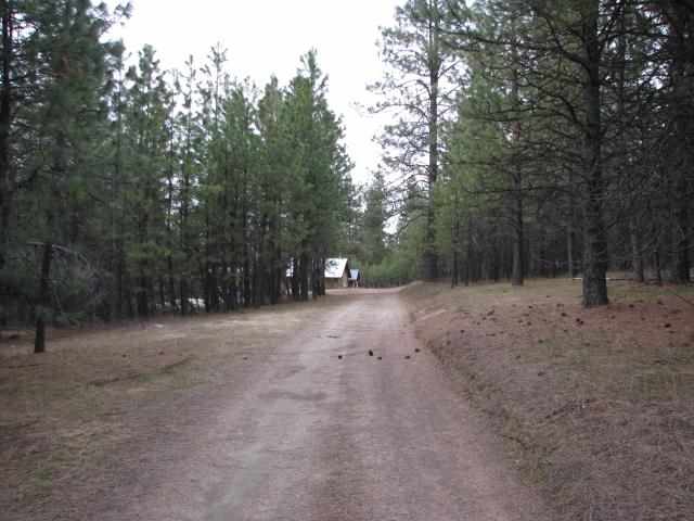 12913 East Laurel Road Elk, WA 99009 - Photo 14 of 18