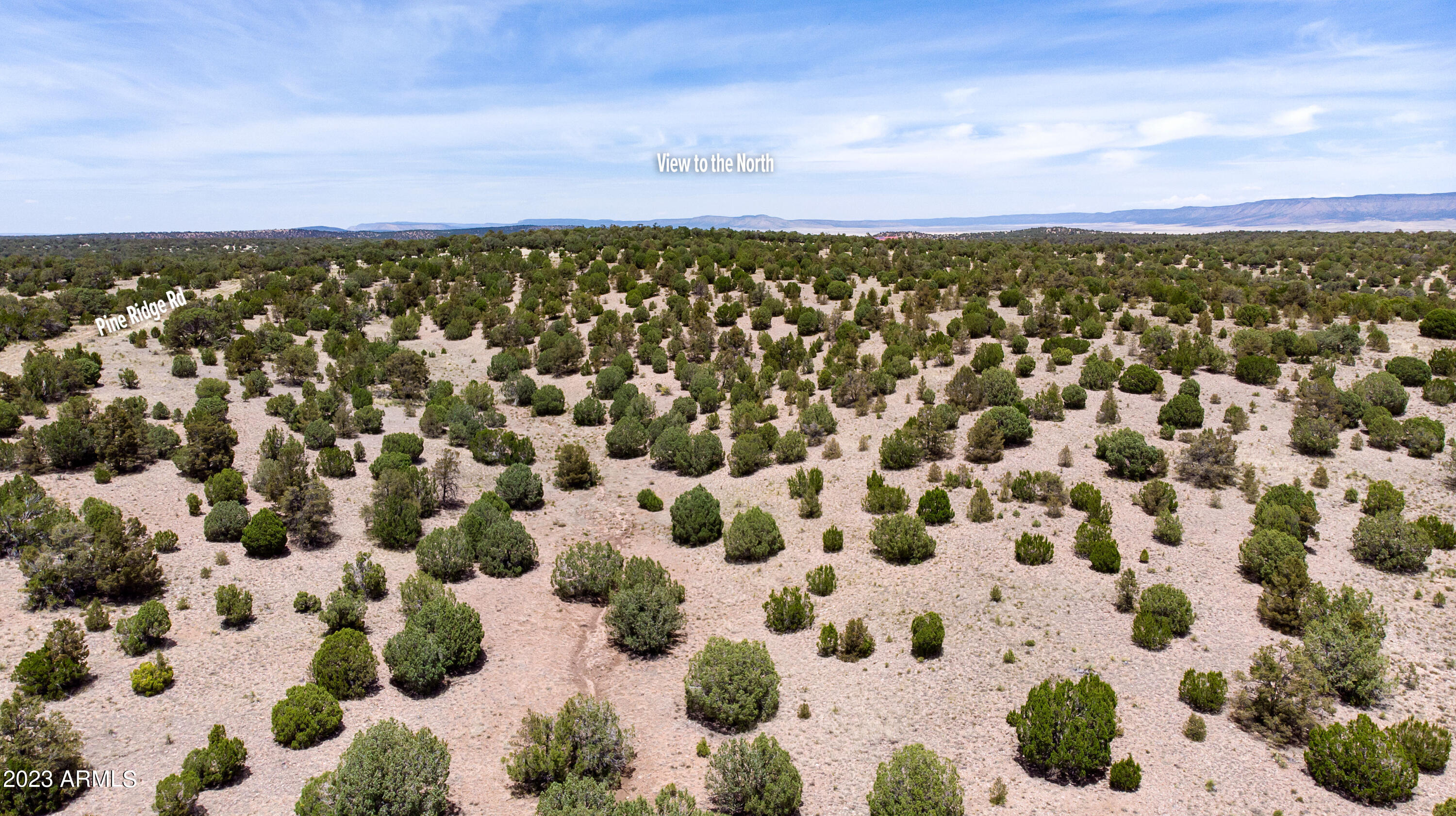 D Wooden Ear Ranch Road, Unit 50 Seligman, AZ 86337 - Photo 10 of 19 DJI_0089