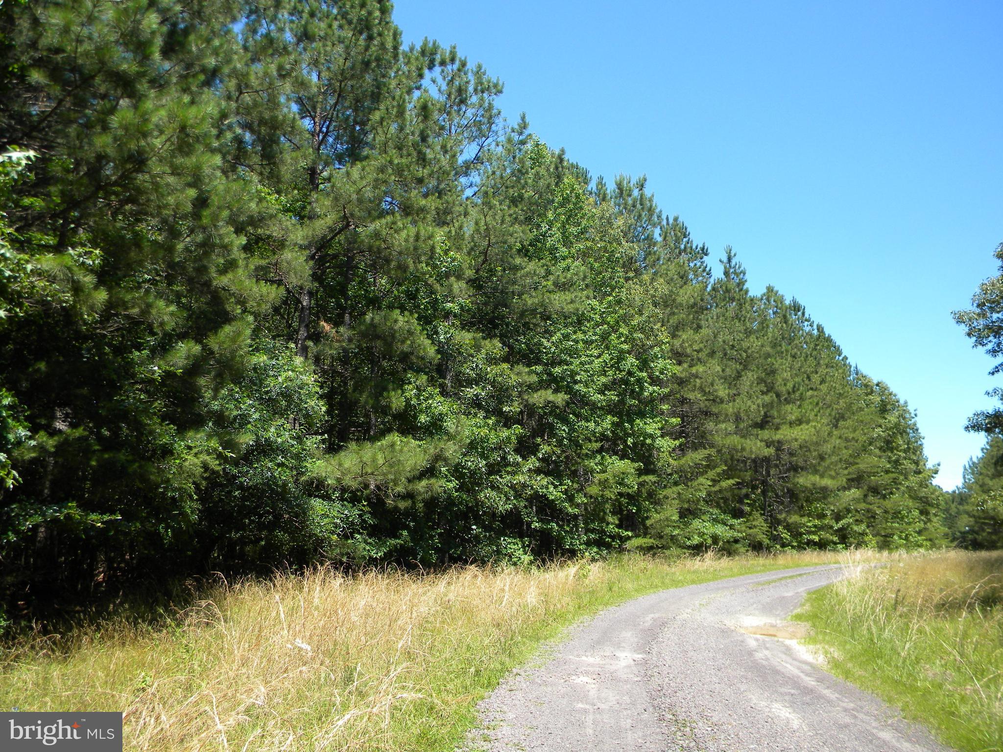Prim Road King George, VA 22485 - Photo 1 of 30 Welcome to your 18.53 wooded acres!