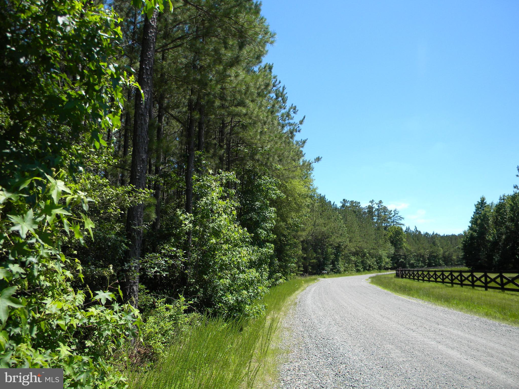 Prim Road King George, VA 22485 - Photo 2 of 30 View to the right of Prim Rd!