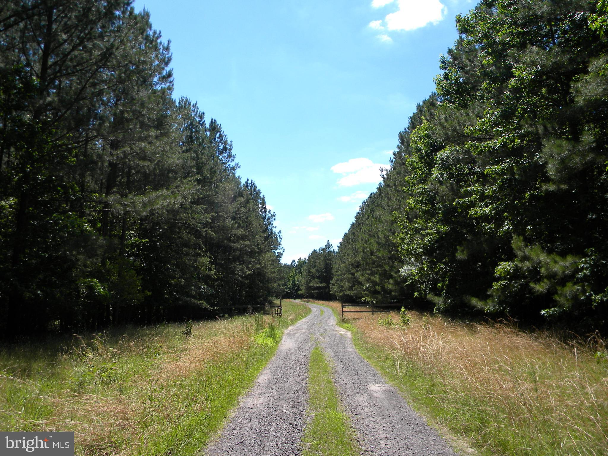 Prim Road King George, VA 22485 - Photo 13 of 30 Gallery Image 13