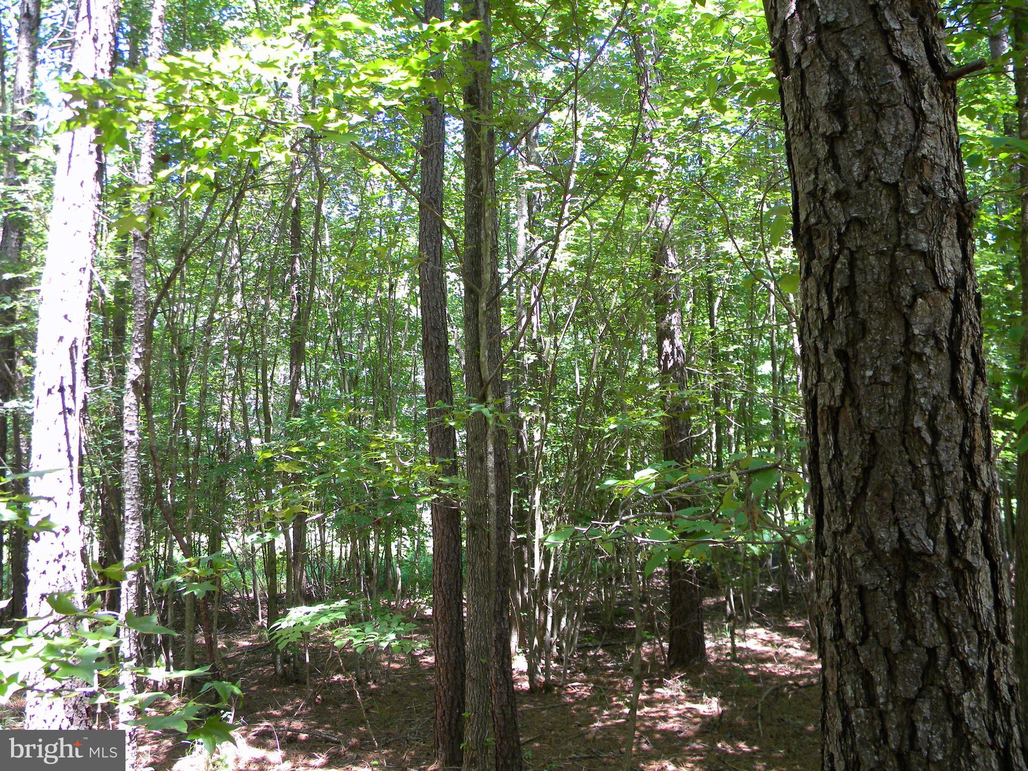 Prim Road King George, VA 22485 - Photo 20 of 30 Gallery Image 20