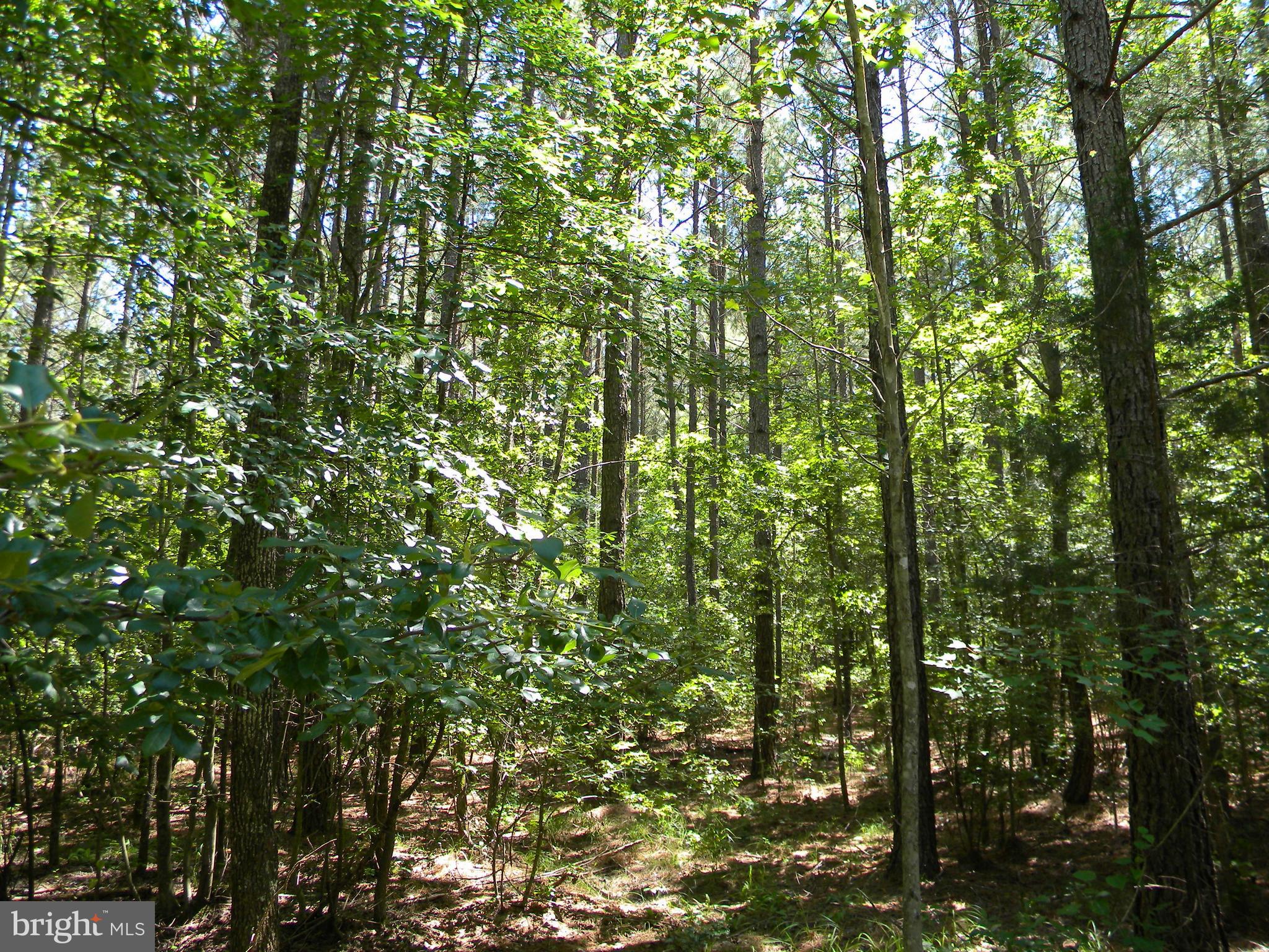 Prim Road King George, VA 22485 - Photo 21 of 30 Gallery Image 21