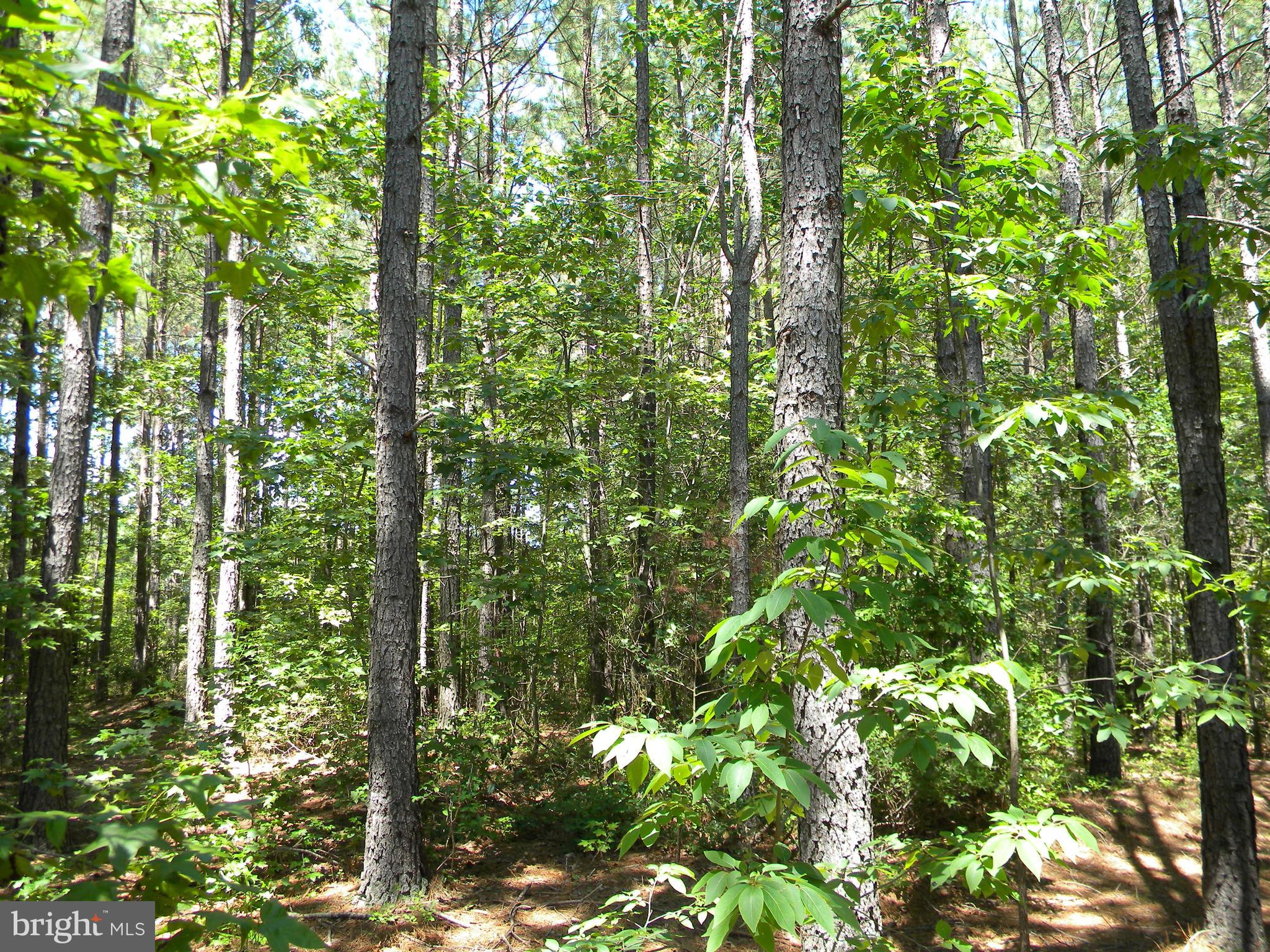 Prim Road King George, VA 22485 - Photo 23 of 30 Gallery Image 23