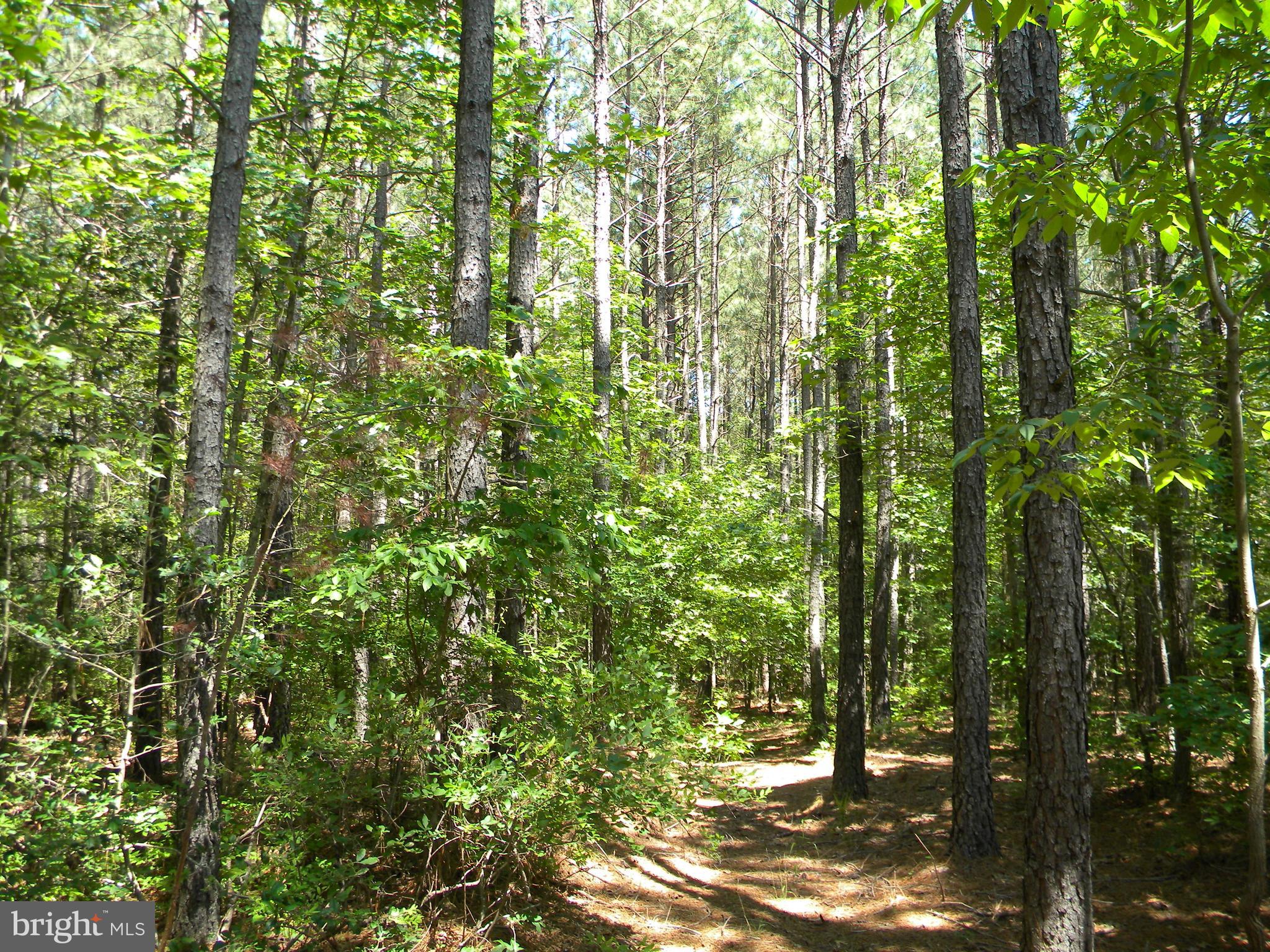Prim Road King George, VA 22485 - Photo 24 of 30 Gallery Image 24