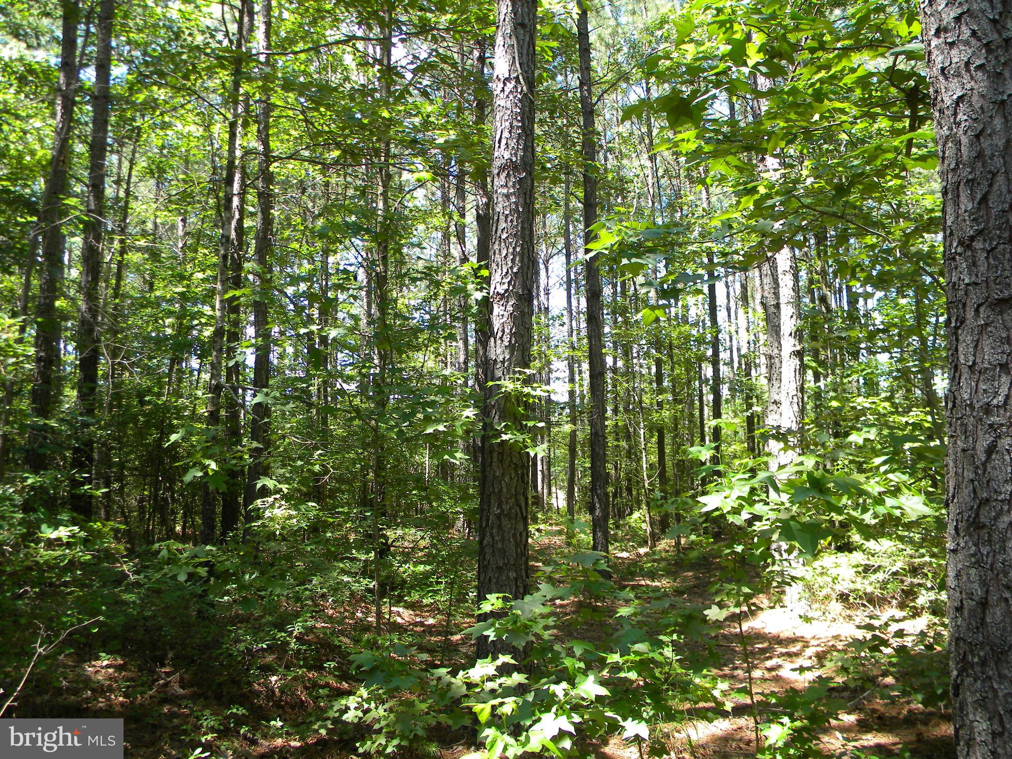 Prim Road King George, VA 22485 - Photo 25 of 30 Gallery Image 25
