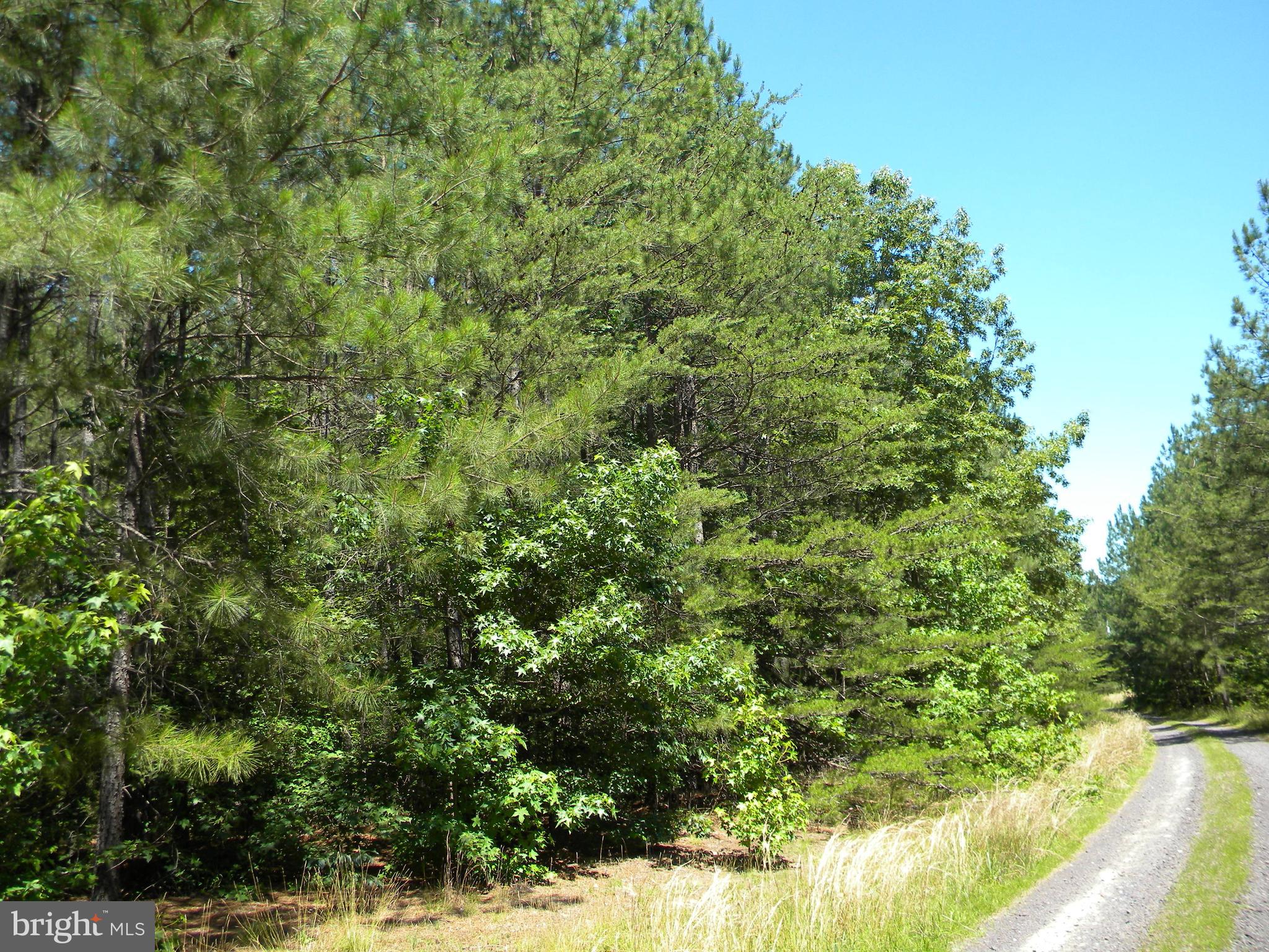 Prim Road King George, VA 22485 - Photo 27 of 30 Gallery Image 27