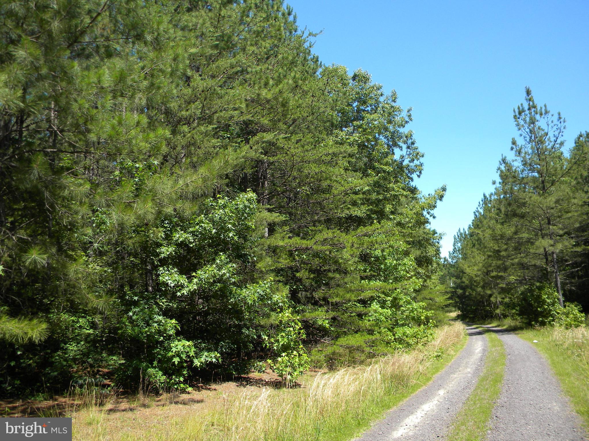 Prim Road King George, VA 22485 - Photo 28 of 30 Gallery Image 28