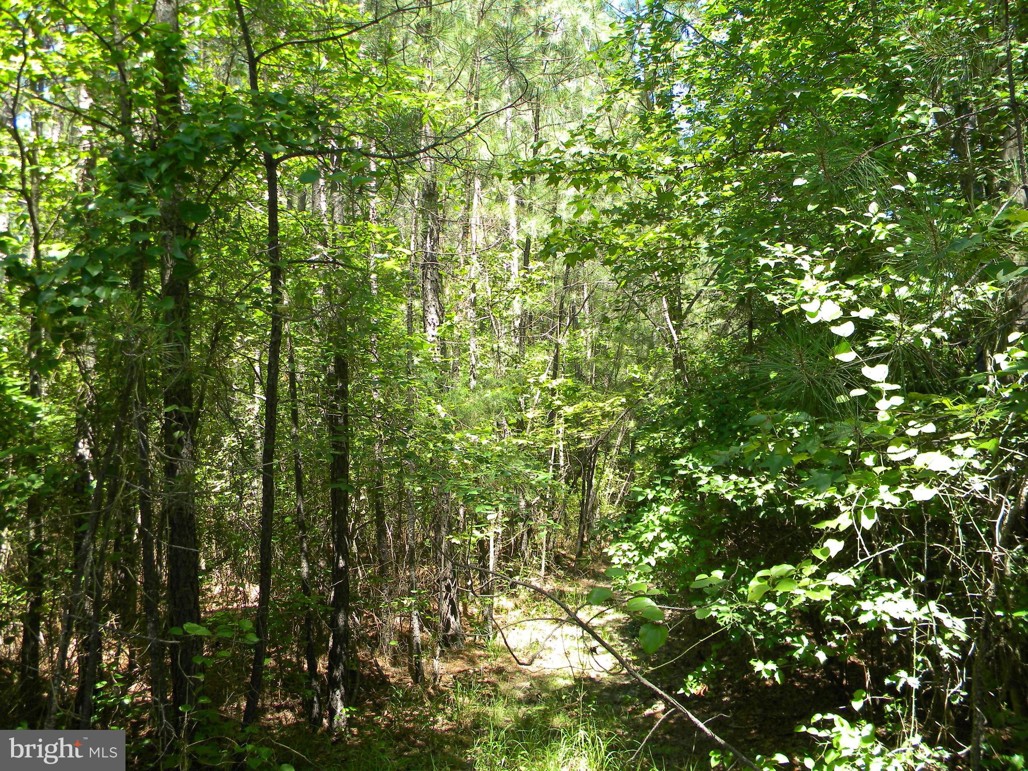 Prim Road King George, VA 22485 - Photo 29 of 30 Gallery Image 29