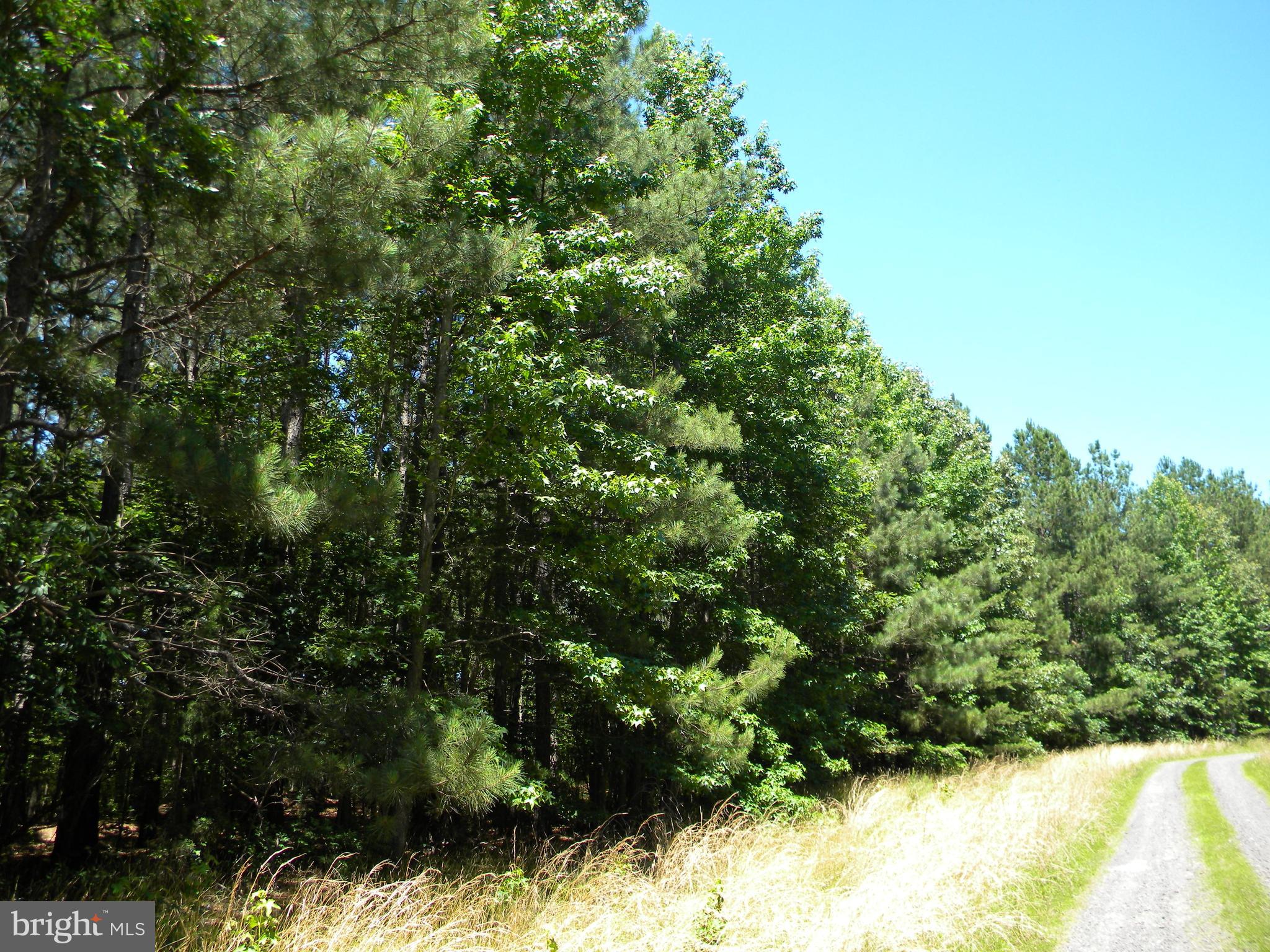 Prim Road King George, VA 22485 - Photo 10 of 30 Gallery Image 10