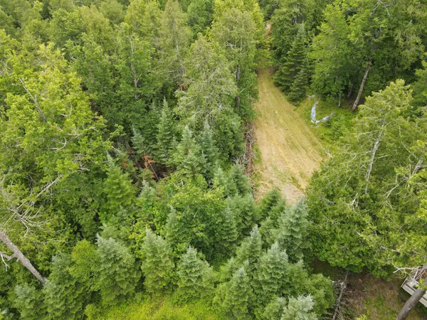 $299,000 | 50511 Evergreen Point Road, Bigfork, MN 56628