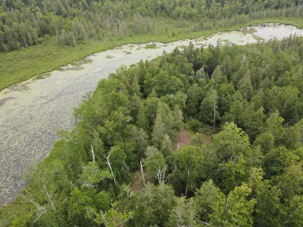 $299,000 | 50511 Evergreen Point Road, Bigfork, MN 56628
