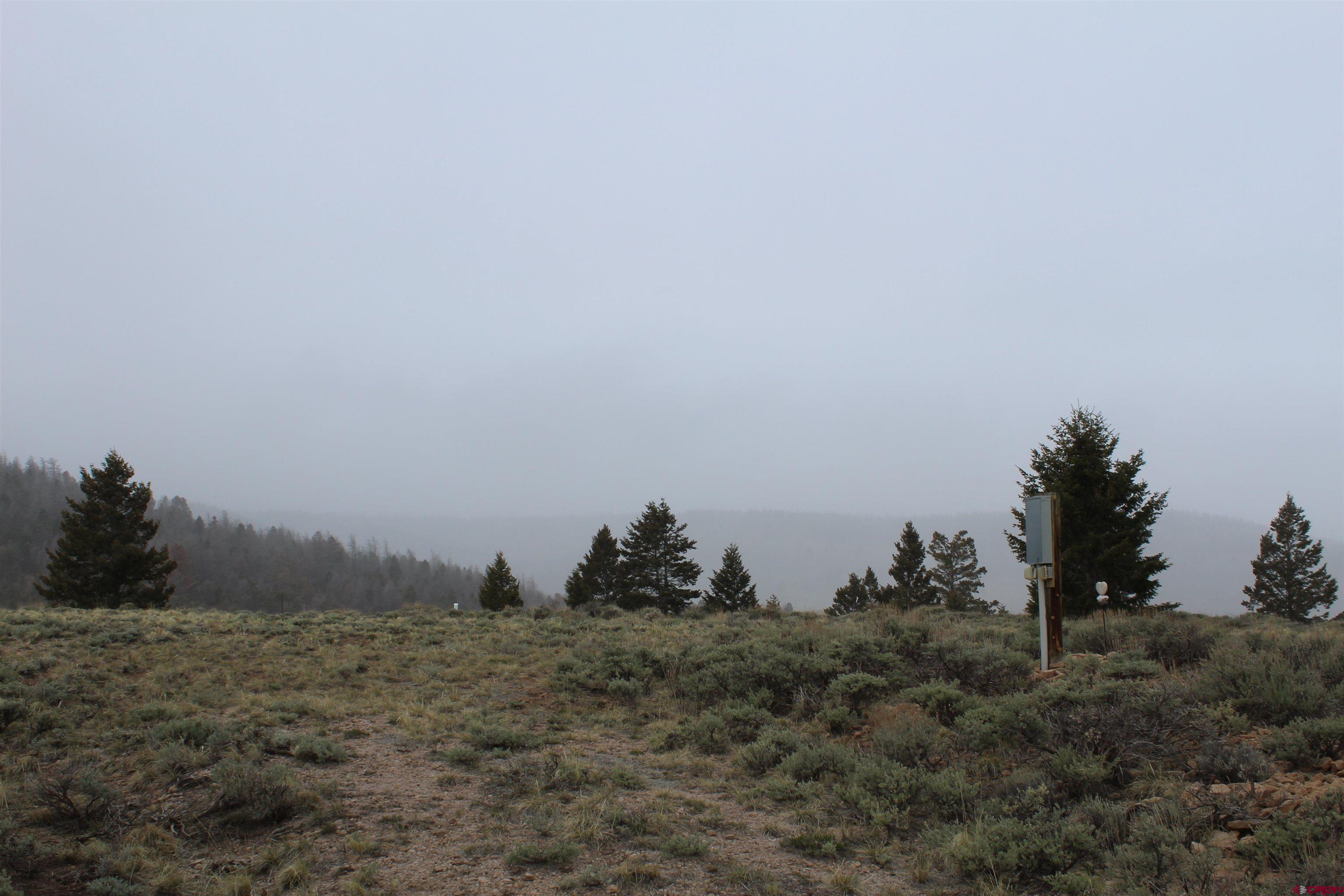 151 Trailridge Trail Powderhorn, CO 81243 - Photo 9 of 11