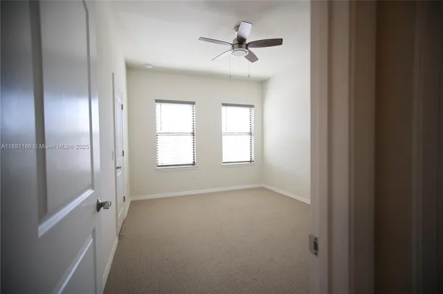 a view of a street with a tree
