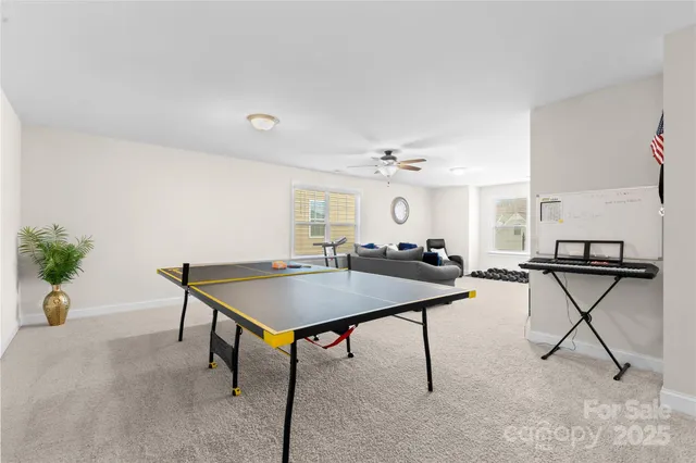 a room with furniture and a potted plant