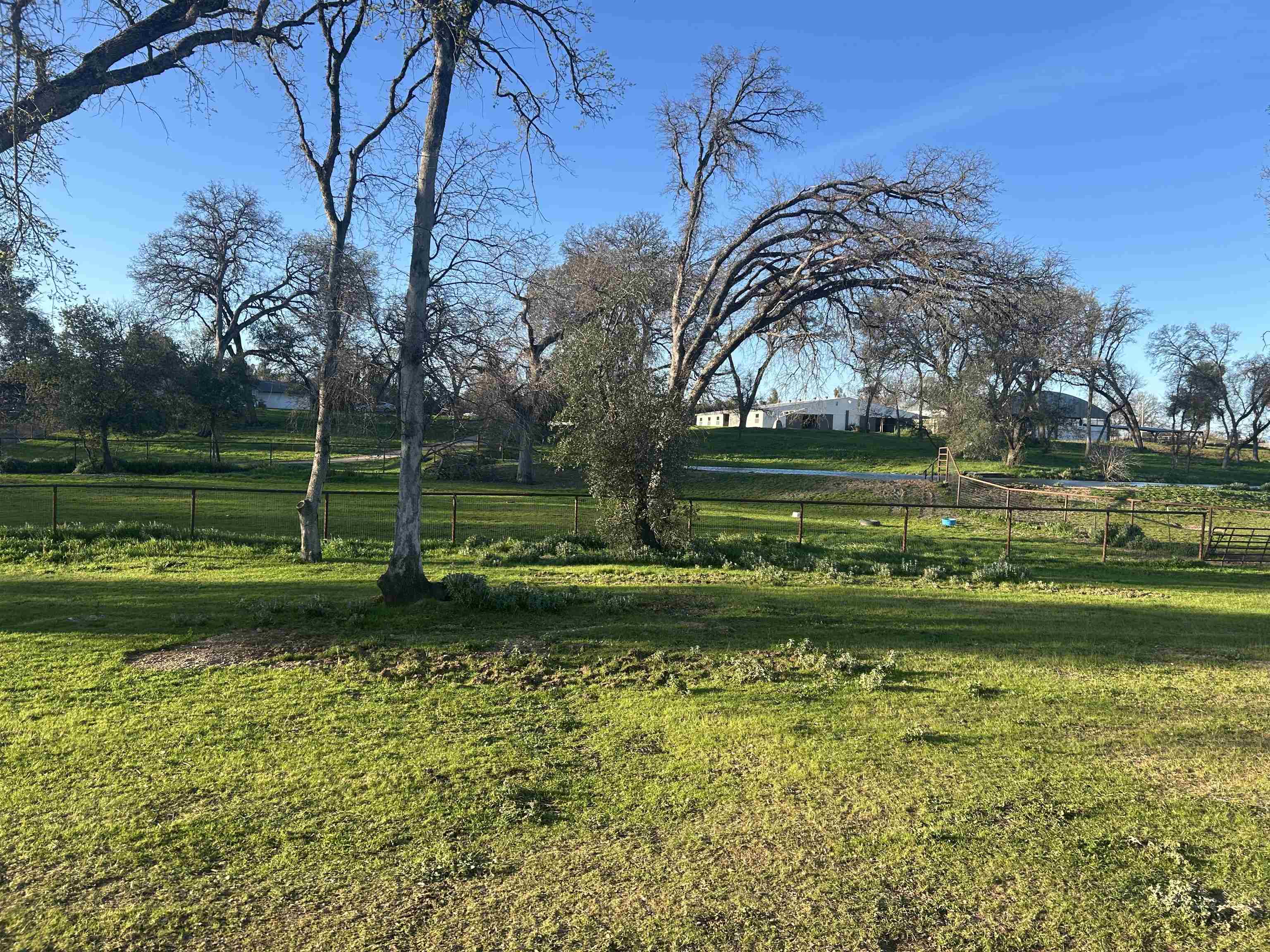 12585 Wilder Road Red Bluff, CA 96080 - Photo 7 of 26