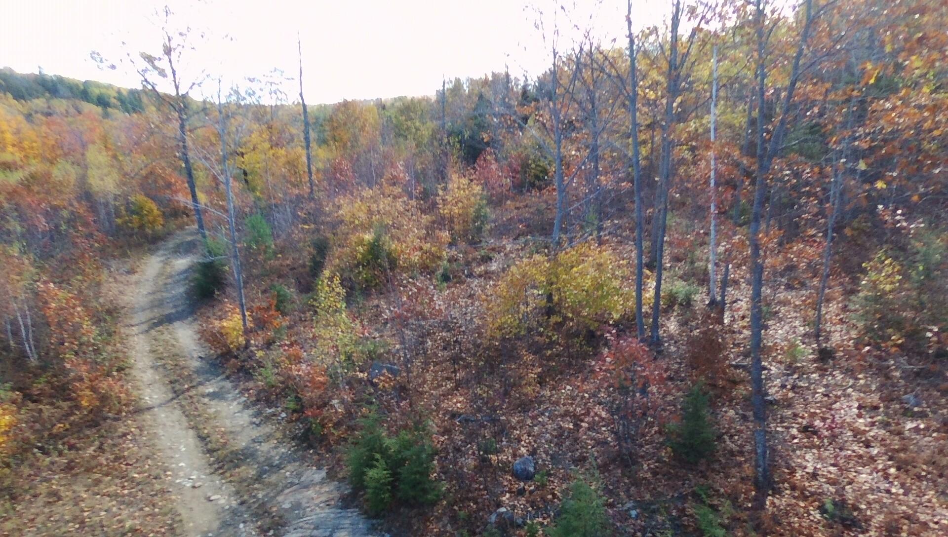 Tbd Lyle Hall Road Wilton, ME 04294 - Photo 3 of 15 BOGUE DRONE PICS 10-12-20 015