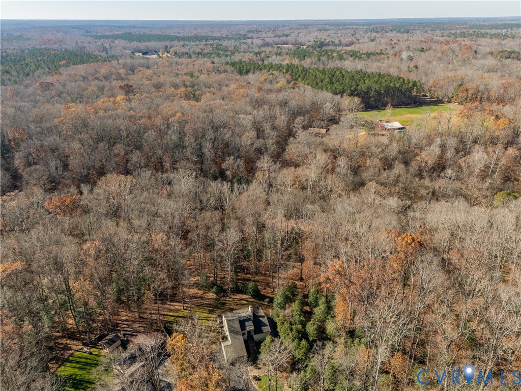 14722 Swift Water Road Chesterfield, VA 23838 - Photo 48 of 50 an aerial view of forest