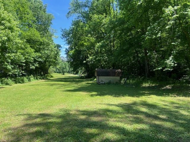 90 Double Springs Loop Savannah, TN 38372 - Photo 21 of 31 a view of a trees in a yard