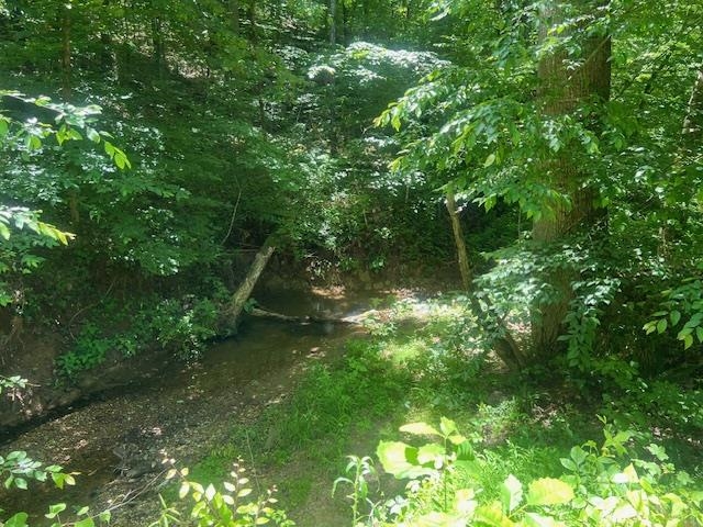 90 Double Springs Loop Savannah, TN 38372 - Photo 25 of 31 a backyard of a house with lots of green space and lake view