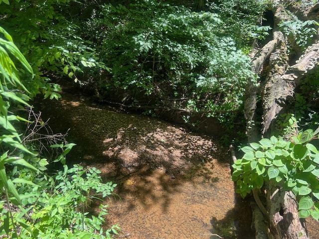 90 Double Springs Loop Savannah, TN 38372 - Photo 26 of 31 a view of a tree