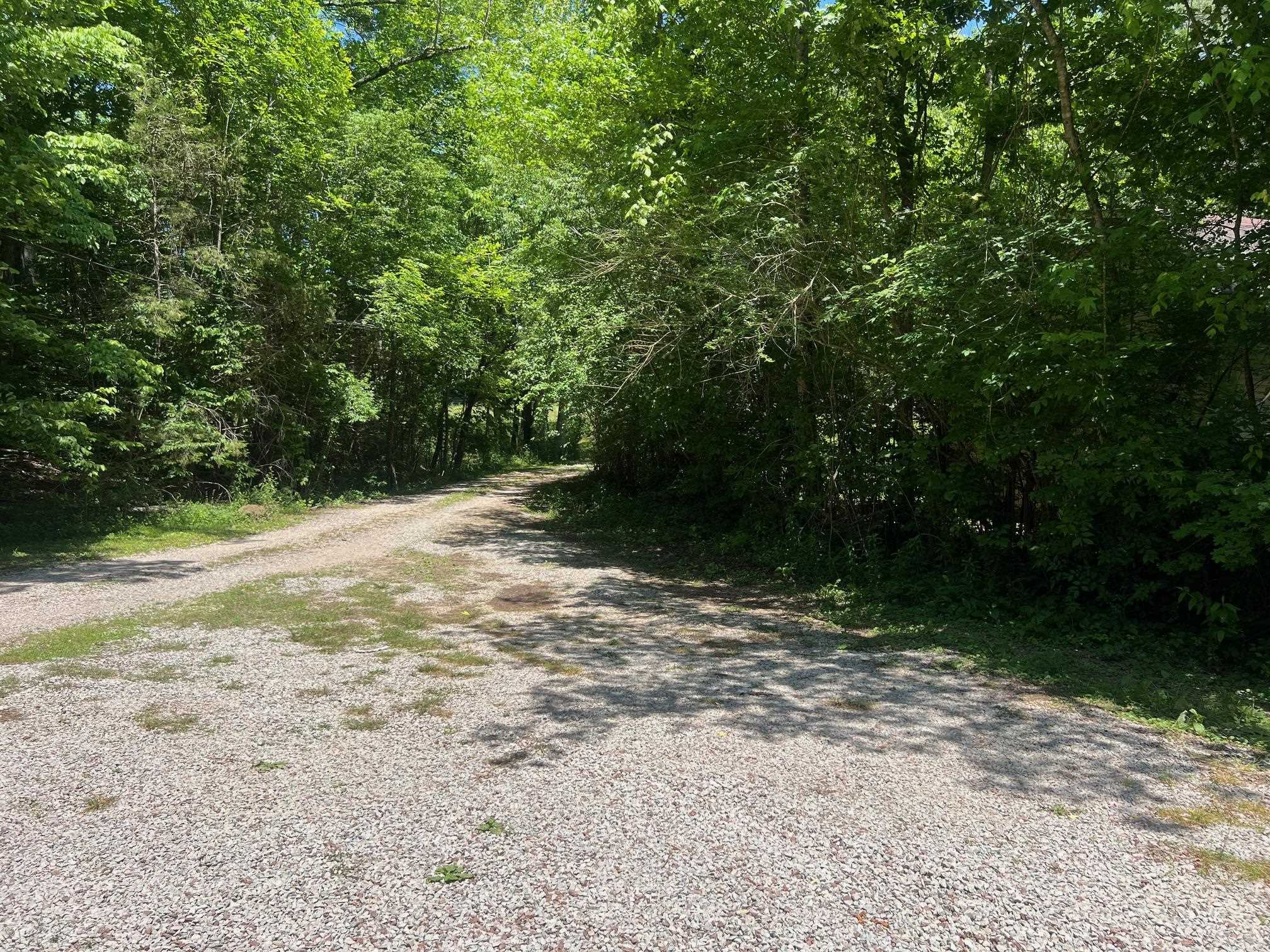 90 Double Springs Loop Savannah, TN 38372 - Photo 28 of 31 a view of backyard with green space