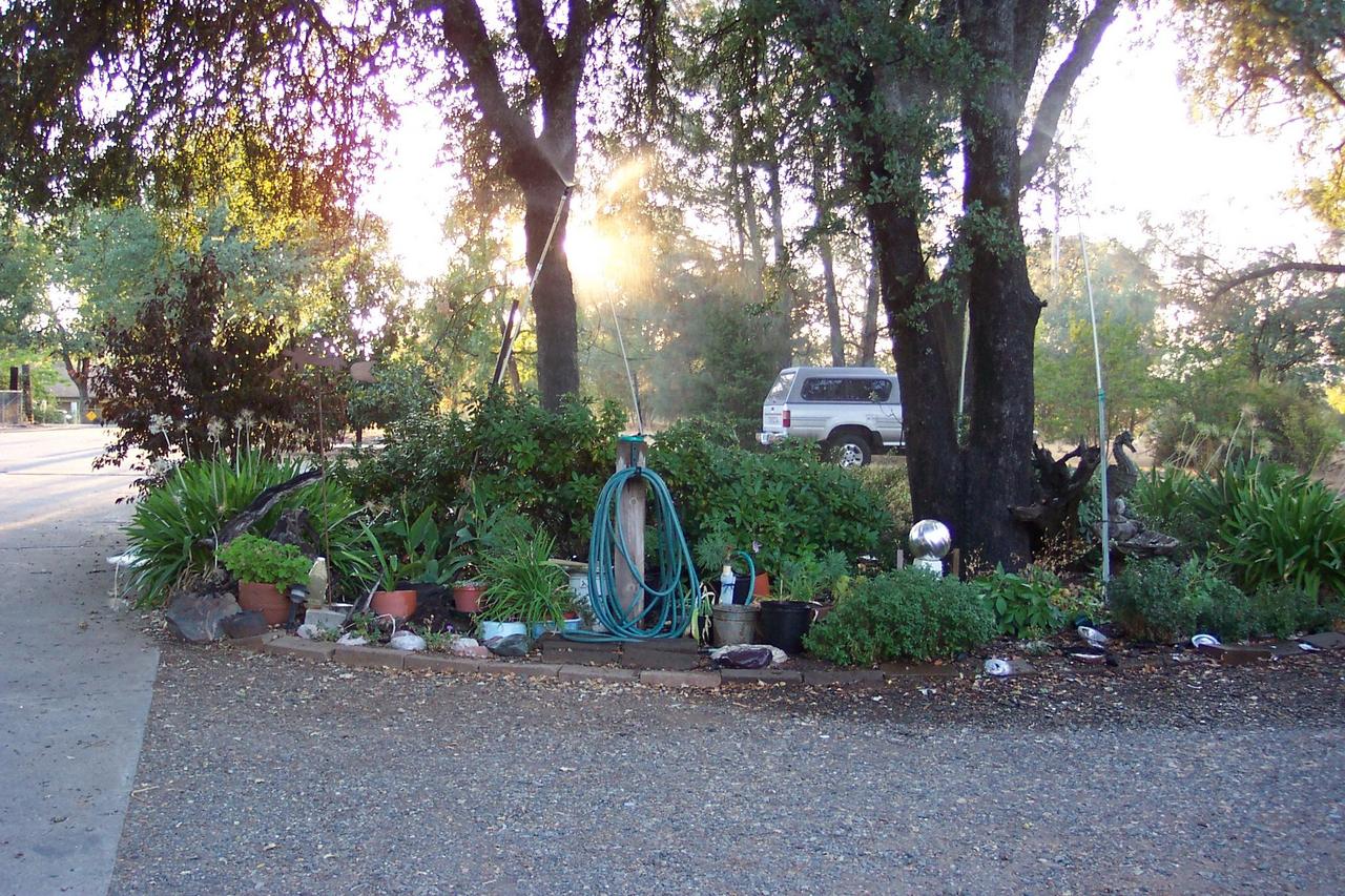 21133 Old Alturas Road Redding, CA 96003 - Photo 12 of 12 Circular drive facing West towards Old A