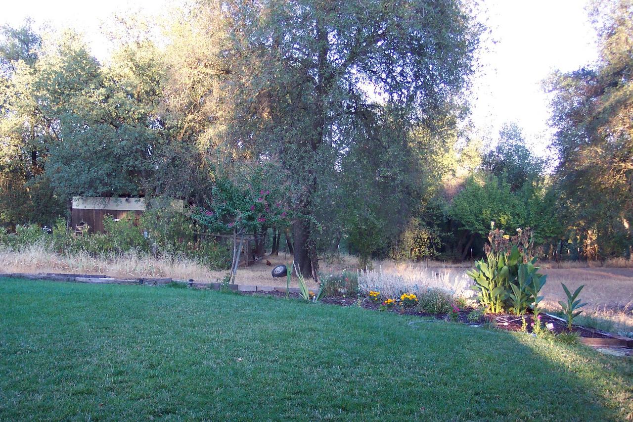 Grassy area view toward back of property