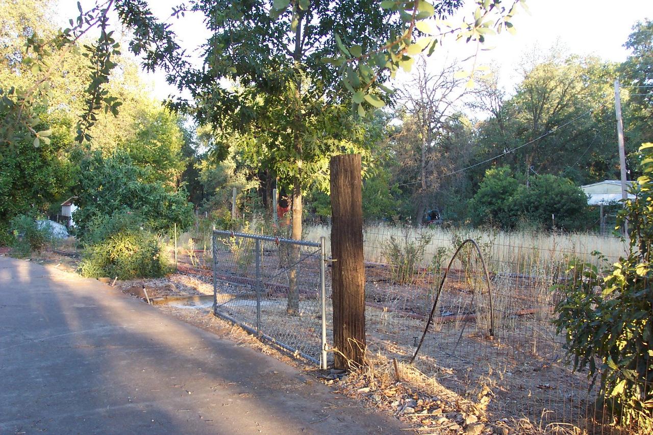 front gate Rose garden/Veg. garden area