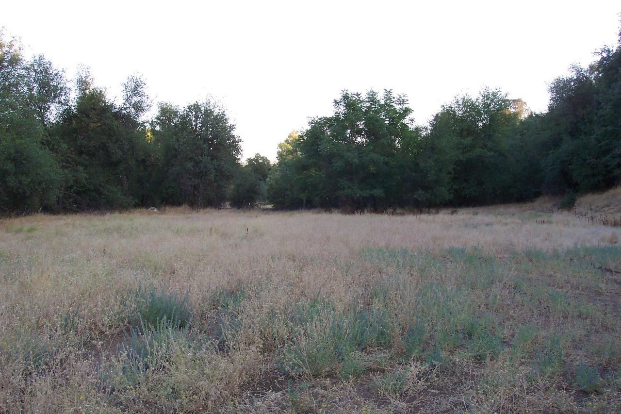 21133 Old Alturas Road Redding, CA 96003 - Photo 8 of 12 Back of property SW corner