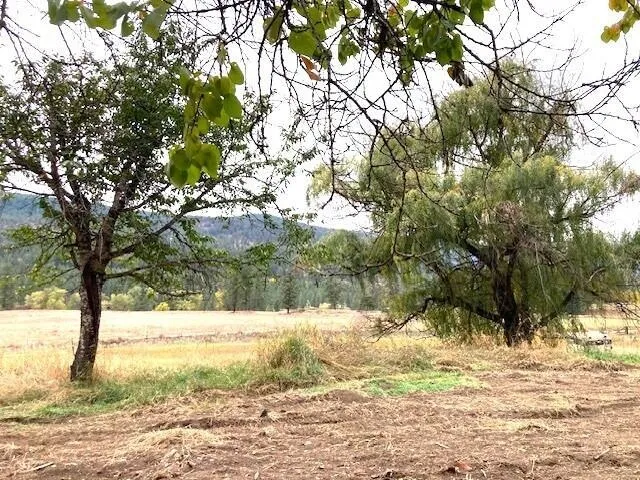 $110,000 | 3277 A Orient Cutoff Road, Kettle Falls, WA 99141